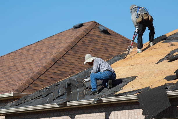 Best Gutter Installation and Repair  in Trussville, AL