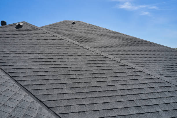 Best Roof Moss and Algae Removal  in Trussville, AL